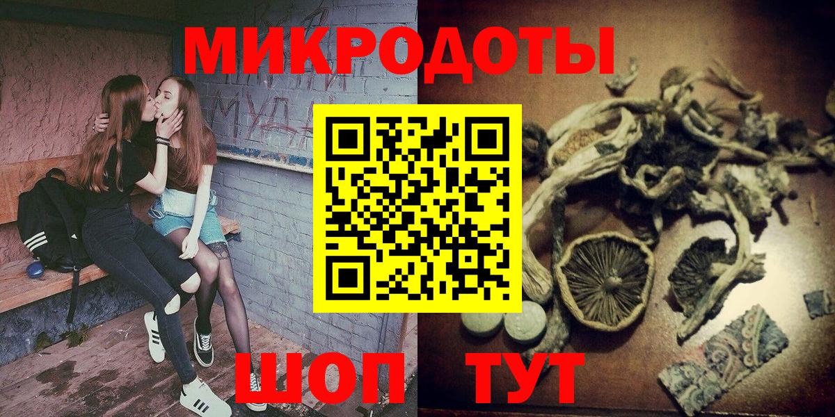 Псилоцибиновые грибы Psilocybe  Вход с VPN  Кимры 